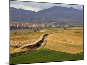 Village of Brinas surrounded by Vineyards, La Rioja Region, Spain-Janis Miglavs-Mounted Photographic Print