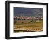 Village of Brinas surrounded by Vineyards, La Rioja Region, Spain-Janis Miglavs-Framed Photographic Print