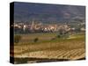 Village of Brinas surrounded by Vineyards, La Rioja Region, Spain-Janis Miglavs-Stretched Canvas