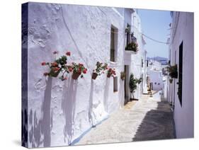 Village of Frigiliana, Malaga Area, Andalucia, Spain-Michael Busselle-Stretched Canvas