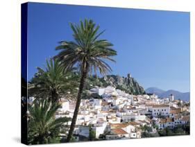 Village of Gaucin, Malaga Area, Andalucia, Spain-Ruth Tomlinson-Stretched Canvas