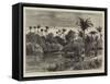 Village of Half-Caste Portuguese Africans on the Kwa-Kwa-null-Framed Stretched Canvas