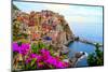 Village of Manarola, on the Cinque Terre Coast of Italy with Flowers-Jenifoto-Mounted Photographic Print