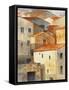 Village of Pitiglione II-Lanie Loreth-Framed Stretched Canvas