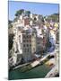 Village of Riomaggiore, Cinque Terre, Unesco World Heritage Site, Liguria, Italy-Richard Ashworth-Mounted Photographic Print