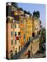 Village of Riomaggiore, Cinque Terre, Unesco World Heritage Site, Liguria, Italy-Bruno Morandi-Stretched Canvas