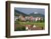 Village of St. Martin Amongst Vineyards in the Pfalz Area, Germany, Europe-James Emmerson-Framed Photographic Print