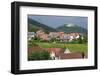 Village of St. Martin Amongst Vineyards in the Pfalz Area, Germany, Europe-James Emmerson-Framed Photographic Print