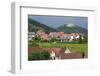 Village of St. Martin Amongst Vineyards in the Pfalz Area, Germany, Europe-James Emmerson-Framed Photographic Print