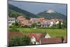 Village of St. Martin Amongst Vineyards in the Pfalz Area, Germany, Europe-James Emmerson-Mounted Photographic Print