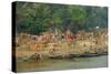 Village on the Bank of the Hooghly River, Part of the Ganges River, West Bengal, India, Asia-Bruno Morandi-Stretched Canvas