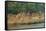 Village on the Bank of the Hooghly River, Part of the Ganges River, West Bengal, India, Asia-Bruno Morandi-Framed Stretched Canvas