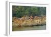 Village on the Bank of the Hooghly River, Part of the Ganges River, West Bengal, India, Asia-Bruno Morandi-Framed Photographic Print