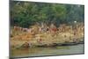 Village on the Bank of the Hooghly River, Part of the Ganges River, West Bengal, India, Asia-Bruno Morandi-Mounted Photographic Print