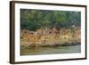 Village on the Bank of the Hooghly River, Part of the Ganges River, West Bengal, India, Asia-Bruno Morandi-Framed Photographic Print