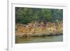 Village on the Bank of the Hooghly River, Part of the Ganges River, West Bengal, India, Asia-Bruno Morandi-Framed Photographic Print