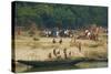 Village on the Bank of the Hooghly River, Part of the Ganges River, West Bengal, India, Asia-Bruno Morandi-Stretched Canvas