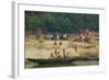 Village on the Bank of the Hooghly River, Part of the Ganges River, West Bengal, India, Asia-Bruno Morandi-Framed Photographic Print