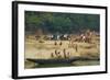 Village on the Bank of the Hooghly River, Part of the Ganges River, West Bengal, India, Asia-Bruno Morandi-Framed Photographic Print