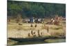 Village on the Bank of the Hooghly River, Part of the Ganges River, West Bengal, India, Asia-Bruno Morandi-Mounted Photographic Print
