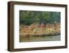 Village on the Bank of the Hooghly River, Part of the Ganges River, West Bengal, India, Asia-Bruno Morandi-Framed Photographic Print