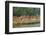 Village on the Bank of the Hooghly River, Part of the Ganges River, West Bengal, India, Asia-Bruno Morandi-Framed Photographic Print