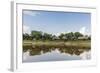 Village on the banks of the El Dorado, Upper Amazon River Basin, Loreto, Peru, South America-Michael Nolan-Framed Photographic Print