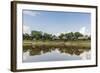 Village on the banks of the El Dorado, Upper Amazon River Basin, Loreto, Peru, South America-Michael Nolan-Framed Photographic Print