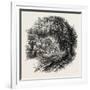 Village Op Yonkers, New York, USA, 1870s-null-Framed Giclee Print