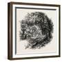 Village Op Yonkers, New York, USA, 1870s-null-Framed Giclee Print