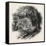 Village Op Yonkers, New York, USA, 1870s-null-Framed Stretched Canvas