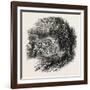 Village Op Yonkers, New York, USA, 1870s-null-Framed Giclee Print