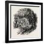 Village Op Yonkers, New York, USA, 1870s-null-Framed Giclee Print