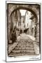 Village Passageway-Laura Denardo-Mounted Premium Giclee Print