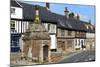 Village Pump and Medieval Timber Framed Houses-Peter Richardson-Mounted Photographic Print