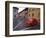 Village Roadway and Car, Sighishoara, Romania-Gavriel Jecan-Framed Photographic Print