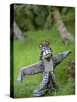Village Scarecrow, Rice Fields, Near Tegallalan, Bali, Indonesia-Merrill Images-Stretched Canvas