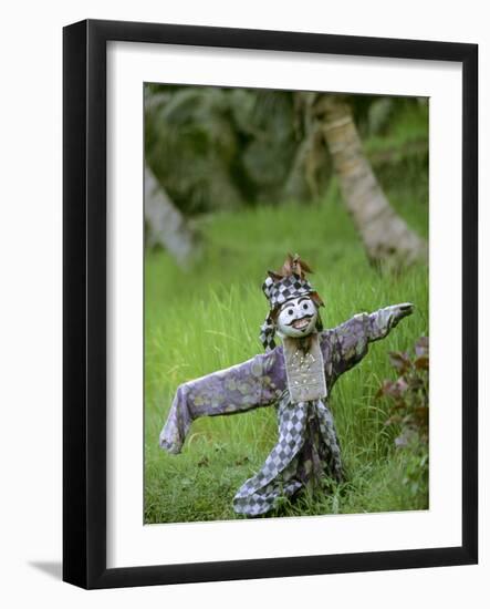 Village Scarecrow, Rice Fields, Near Tegallalan, Bali, Indonesia-Merrill Images-Framed Photographic Print