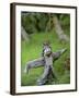 Village Scarecrow, Rice Fields, Near Tegallalan, Bali, Indonesia-Merrill Images-Framed Photographic Print