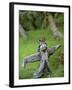 Village Scarecrow, Rice Fields, Near Tegallalan, Bali, Indonesia-Merrill Images-Framed Photographic Print