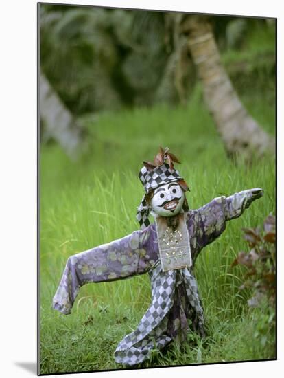 Village Scarecrow, Rice Fields, Near Tegallalan, Bali, Indonesia-Merrill Images-Mounted Photographic Print