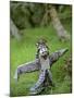 Village Scarecrow, Rice Fields, Near Tegallalan, Bali, Indonesia-Merrill Images-Mounted Photographic Print