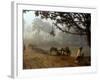 Village Scene, Vaishali, India-James Gritz-Framed Photographic Print