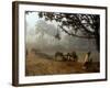 Village Scene, Vaishali, India-James Gritz-Framed Photographic Print