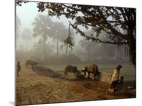 Village Scene, Vaishali, India-James Gritz-Mounted Photographic Print