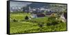 Village Spitz Nested in the Vineyards of the Wachau. Austria-Martin Zwick-Framed Stretched Canvas