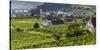 Village Spitz Nested in the Vineyards of the Wachau. Austria-Martin Zwick-Stretched Canvas