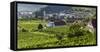 Village Spitz Nested in the Vineyards of the Wachau. Austria-Martin Zwick-Framed Stretched Canvas