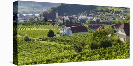 Village Spitz Nested in the Vineyards of the Wachau. Austria-Martin Zwick-Stretched Canvas