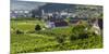 Village Spitz Nested in the Vineyards of the Wachau. Austria-Martin Zwick-Mounted Photographic Print